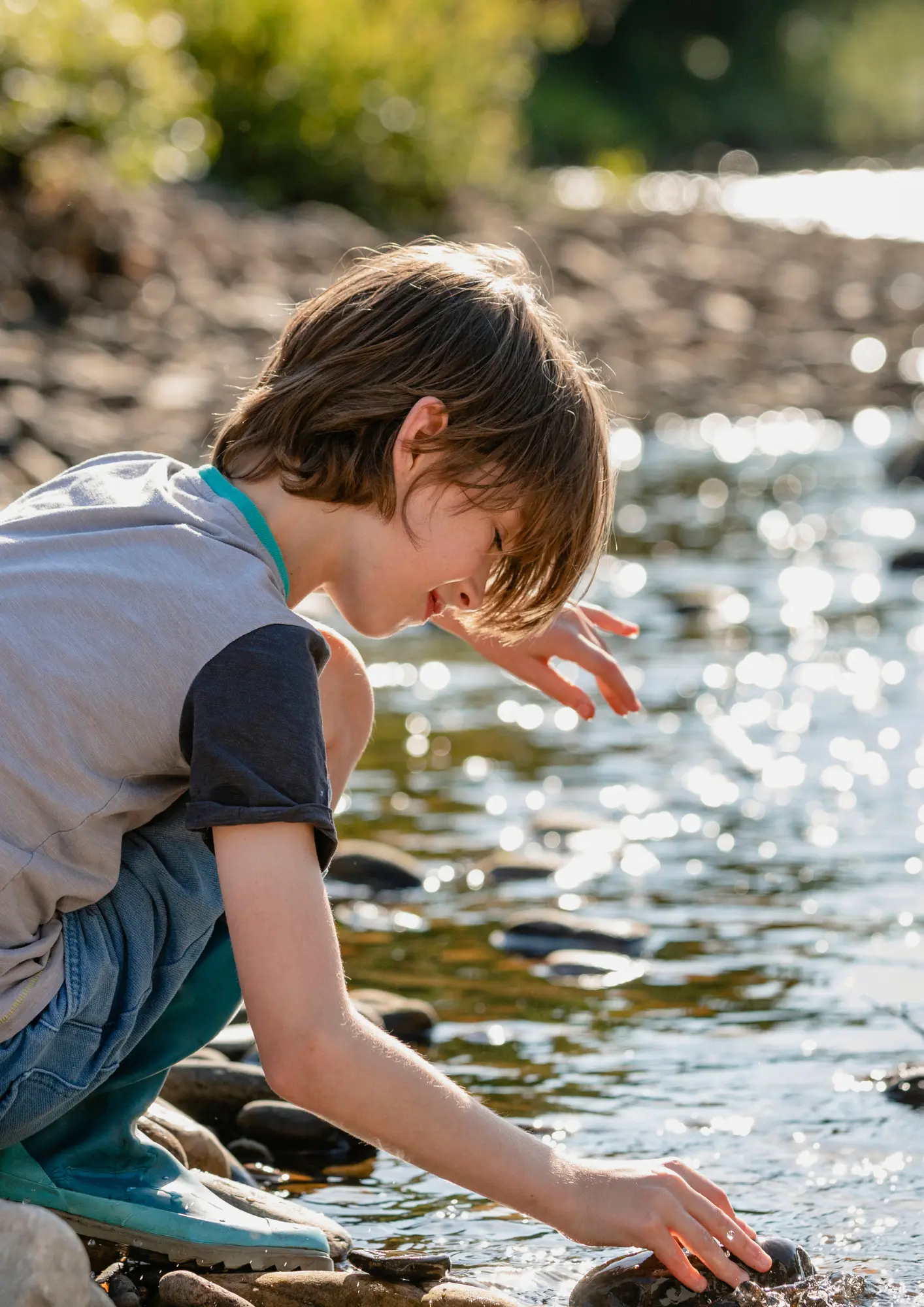 Écoute des oiseaux 1