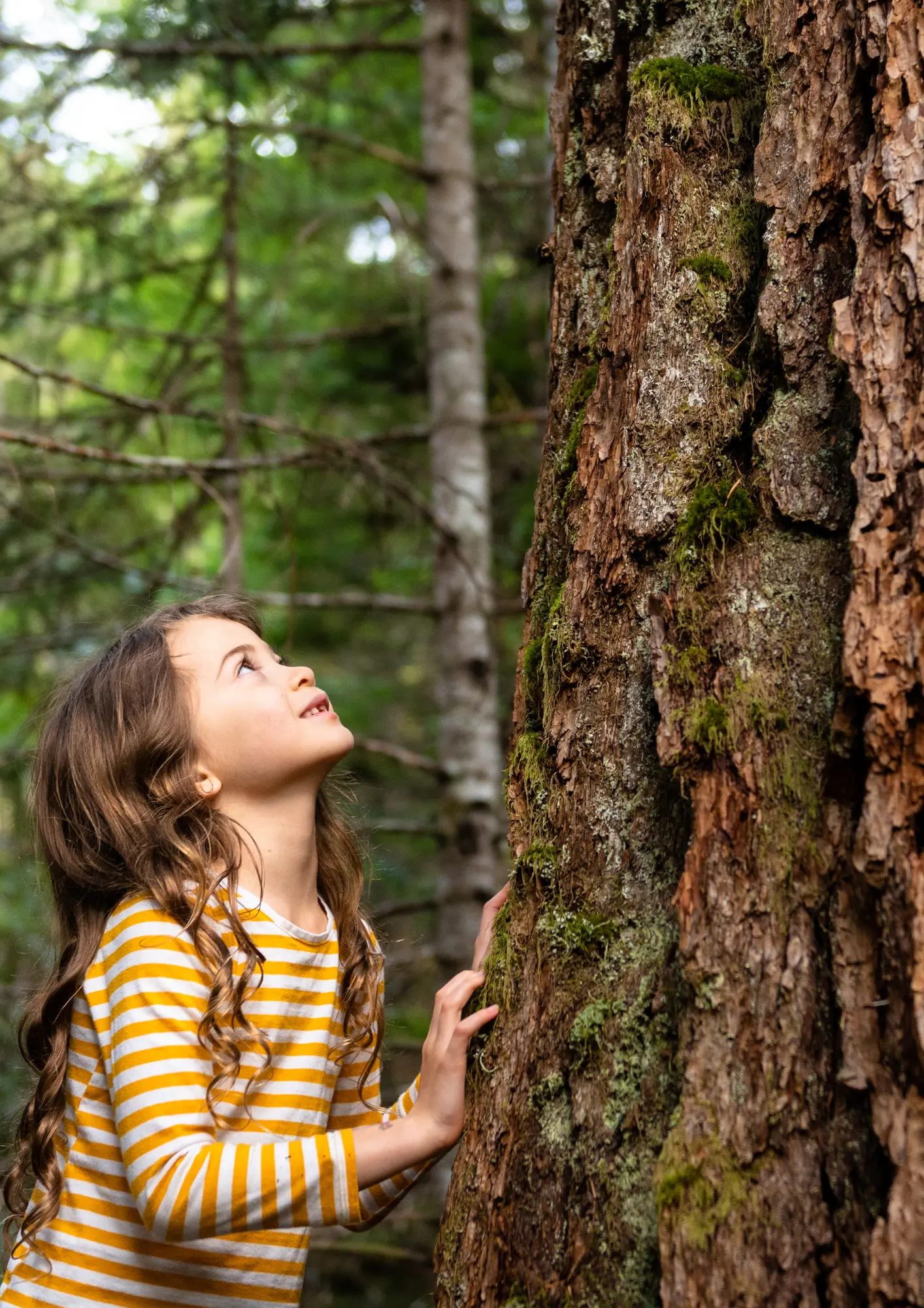 Écoute des oiseaux 3